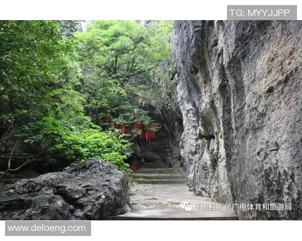 鹿儿岛与阜岐的精彩对决揭示两地文化与体育的独特魅力 鹿儿岛与阜岐的精彩对决揭示两地文化与体育的独特魅力