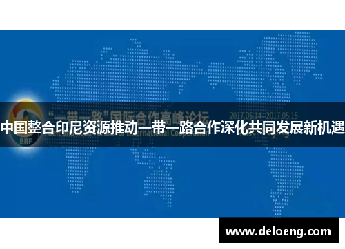 中国整合印尼资源推动一带一路合作深化共同发展新机遇