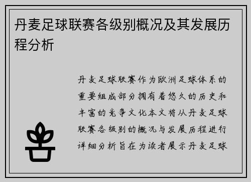 丹麦足球联赛各级别概况及其发展历程分析
